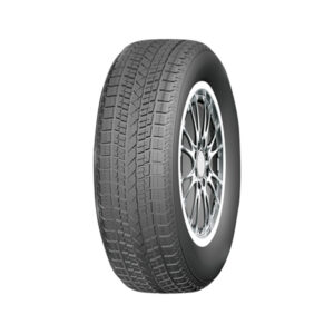 Bluesnow 05 snow car tires