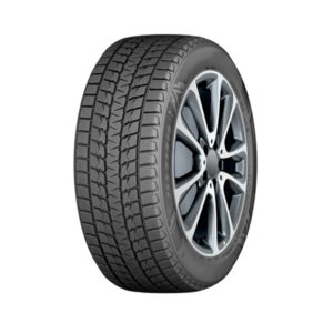 Bluesnow 06 snow ice tires